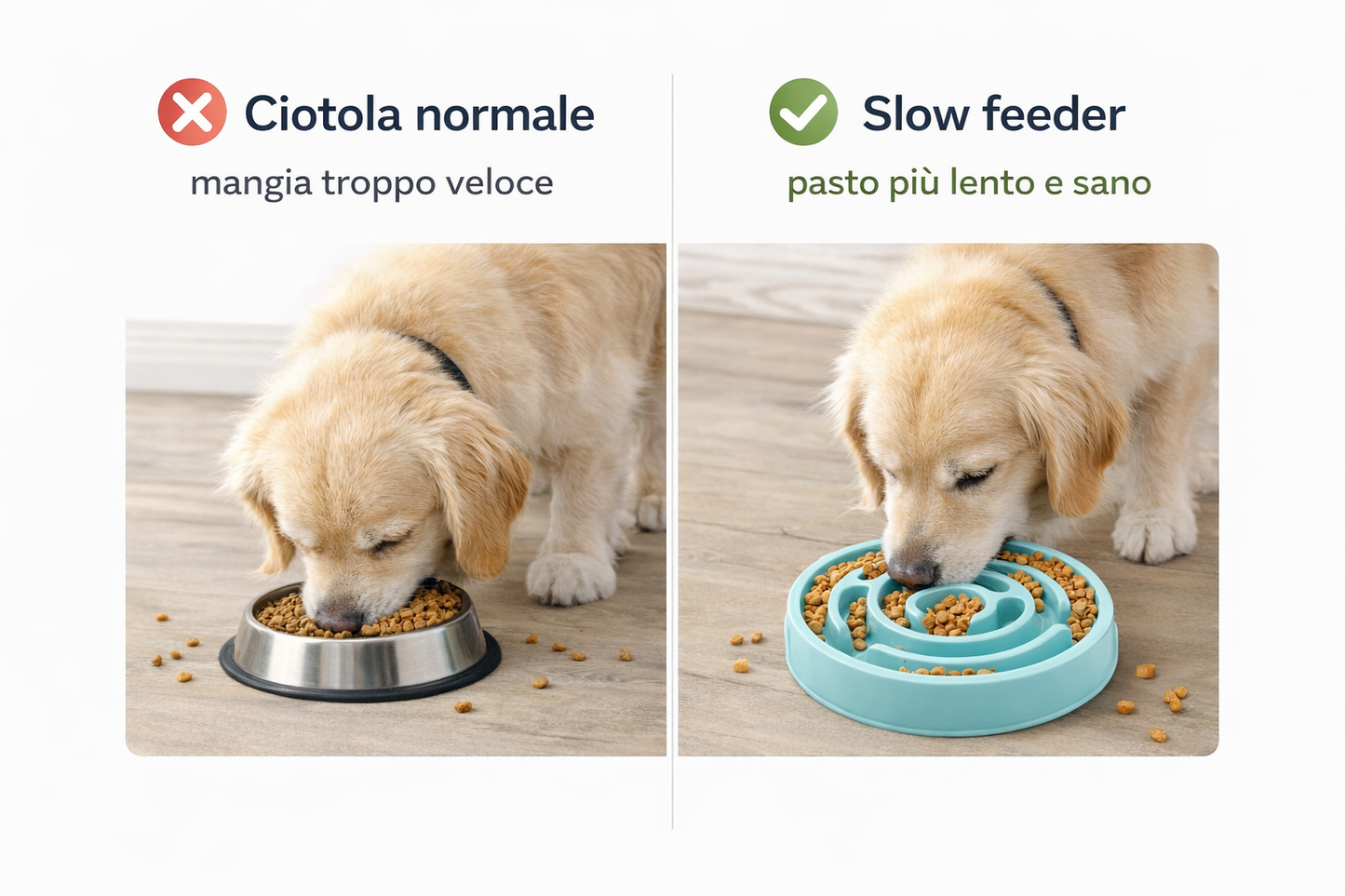 ChowMaze™ – Ciotola Anti-Ingozzo per Cani