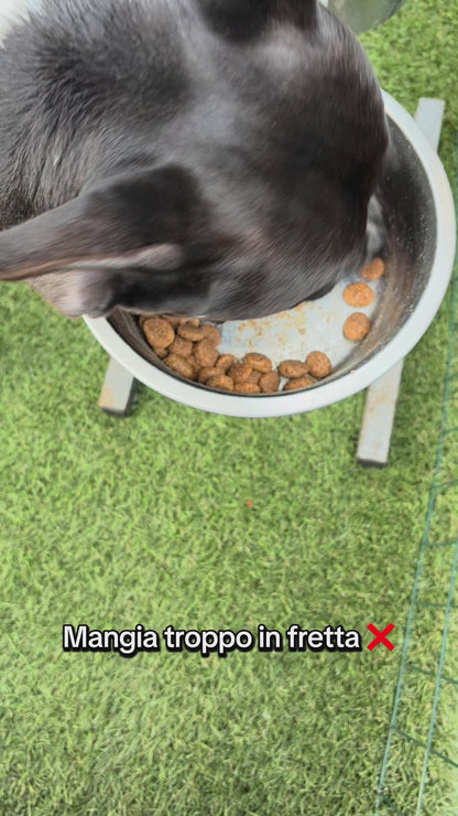 ChowMaze™ – Ciotola Anti-Ingozzo per Cani