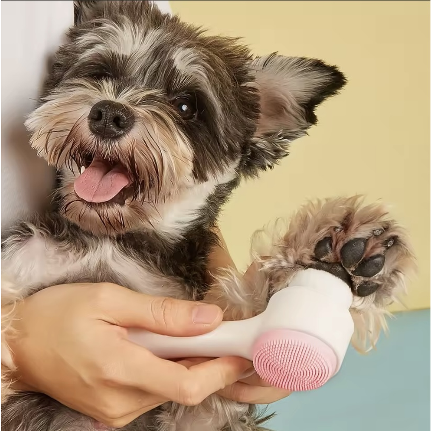 PawPop™ Zampe Pulite