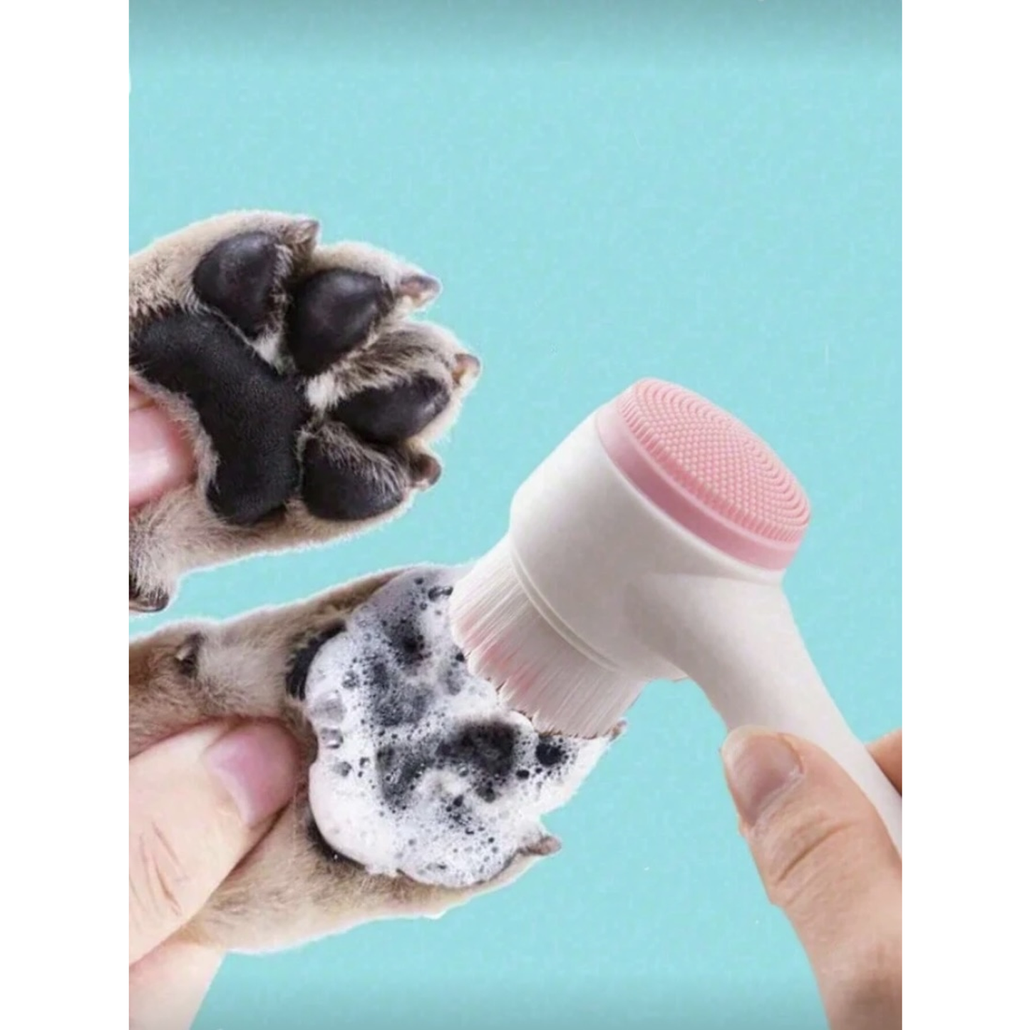 PawPop™ Zampe Pulite